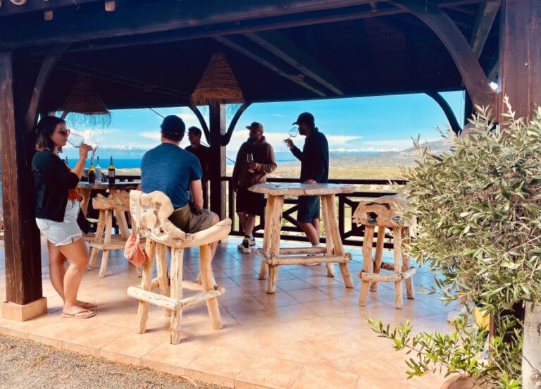 Private Wine Tour Around Ile Rousse & Calvi With Transport