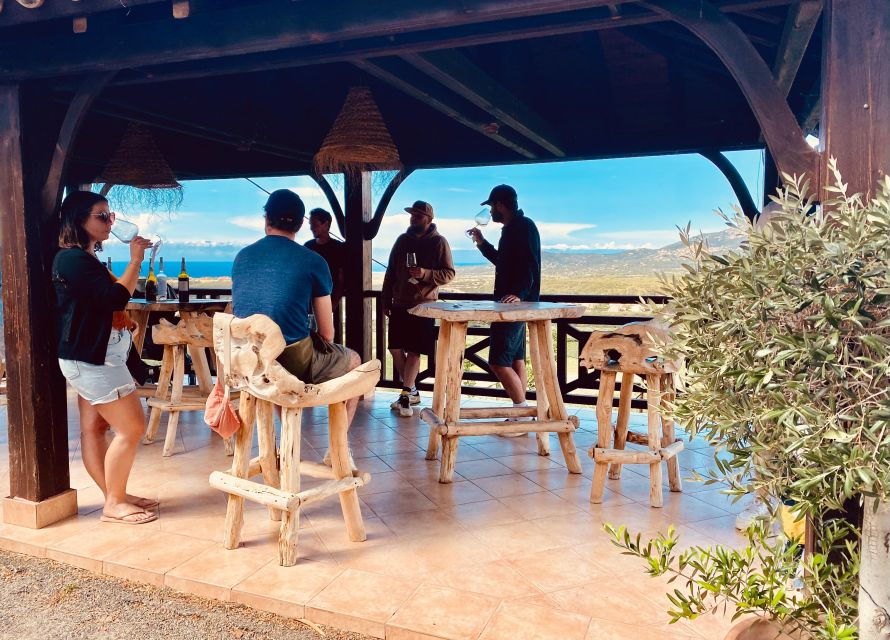 Private Wine Tour Around Ile Rousse & Calvi With Transport - Tour Overview and Details