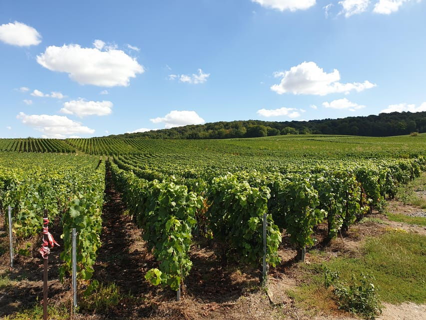 Private Wine Tour to Bordeaux - 2 Days - From Paris - Overview of the Private Wine Tour
