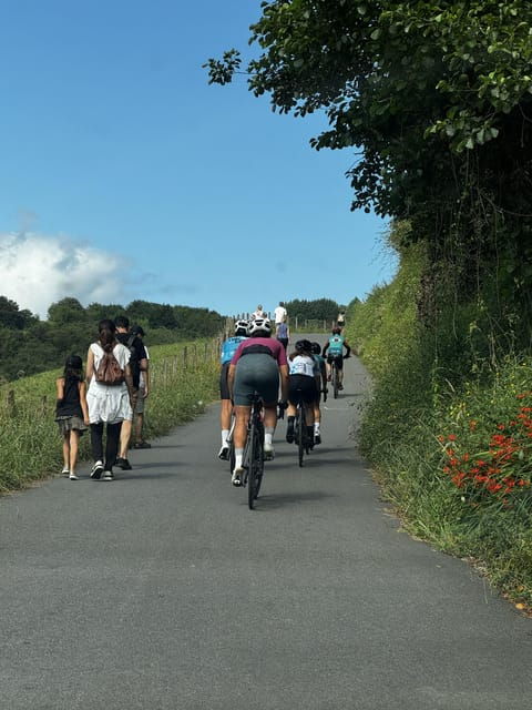 Rent Your Bike With Us and We Will Help You to Discover Gipuzkoa. - Bicycle Rental Options