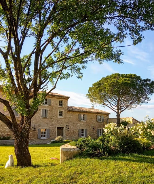 Saint-Didier: Visit a Winery & Taste Organic Wines - Activity Overview