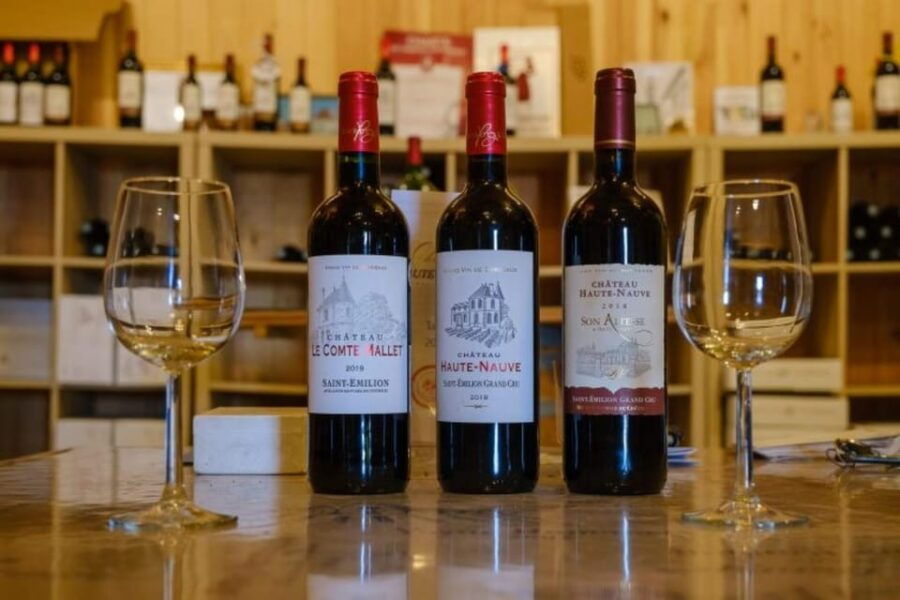 Saint-Emilion: Tasting of 4 Wines in a Family Vineyard - Activity Overview