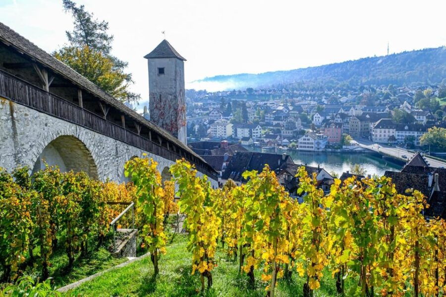 Schaffhausen: Express Walk With a Local in 60 Minutes - Exploring the Historic City Center
