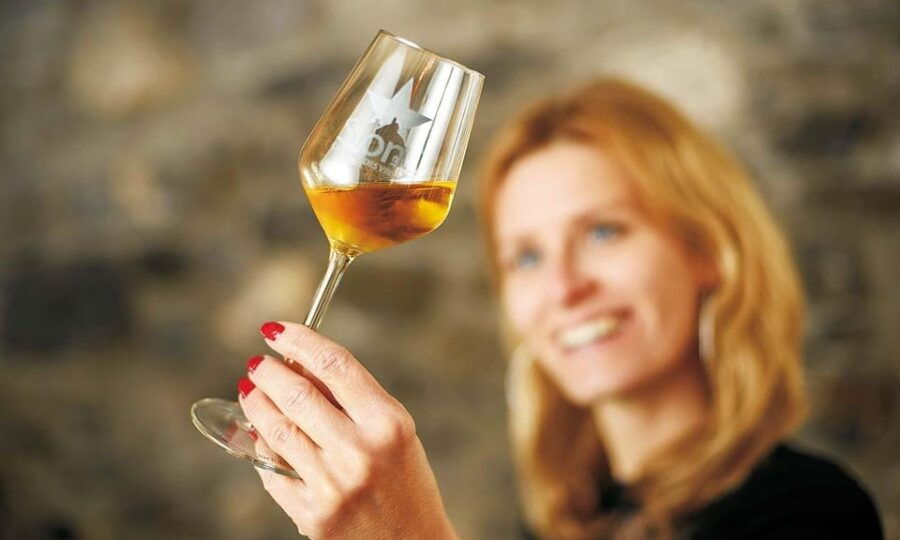 Sion: Sion Wine Tour - Wine Tasting and Guided Tour - Tour Overview