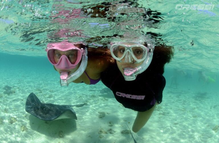 Snorkel Tour Why Not?