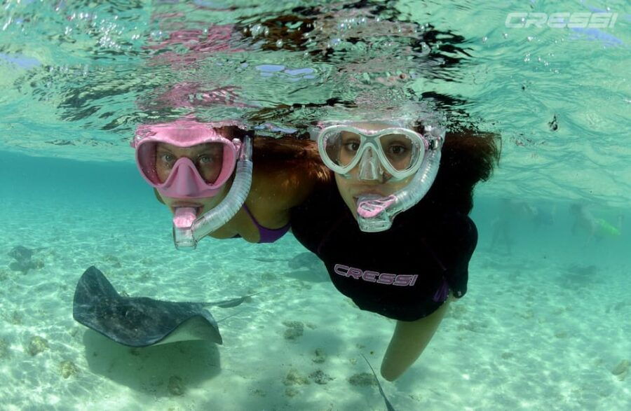 Snorkel Tour Why Not? - Tour Overview