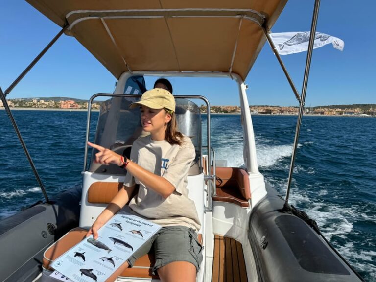Sotogrande: Dolphin Watching Experience With Expert Crew