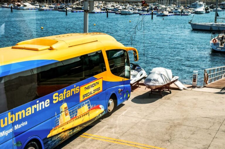 Southern Tenerife: 50-Minute Submarine Dive
