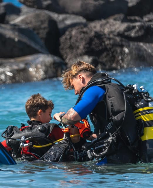 Tenerife: Scuba Dive & Fun, Discover the Magic of the Ocean