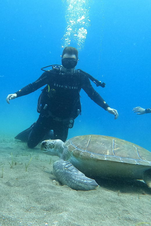 Tenerife South: Scuba Dive for Beginners in Adeje