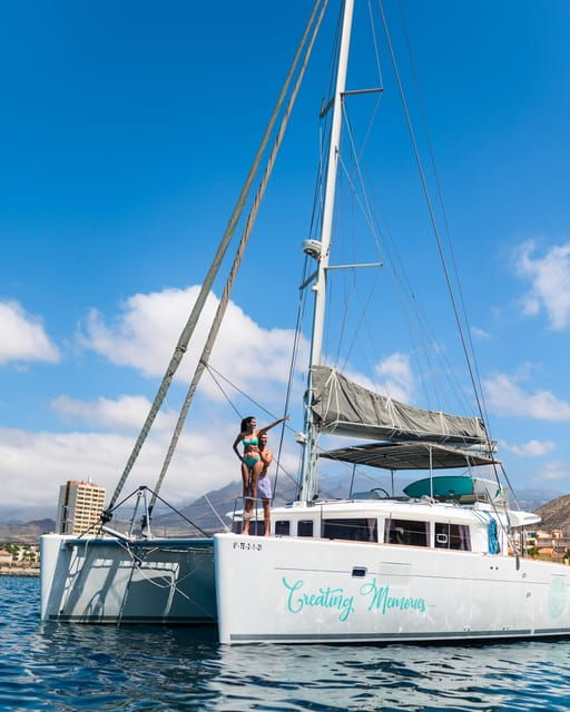 Tenerife: Whale and Dolphin Watching Boat Tour