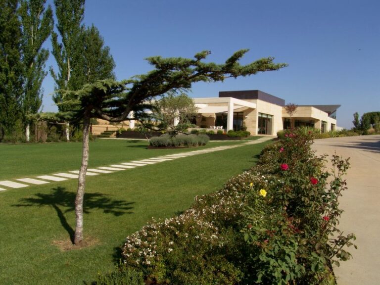 Toro: Piedra Winery Tour and Tastings