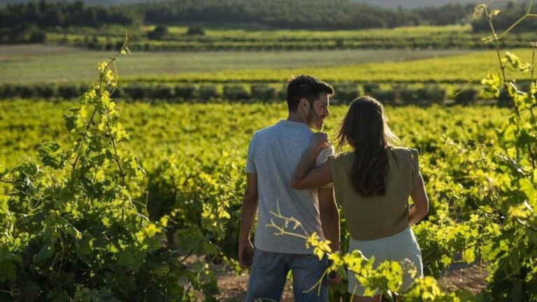 Valencia: Vineyard Tour With Local Wine Tasting & Appetizer
