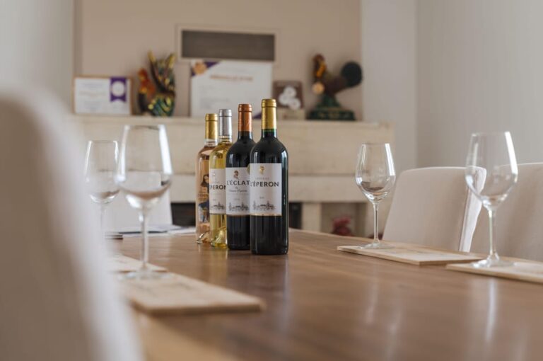 Vérac: Château L’Éperon Wine Tasting and Masterclass