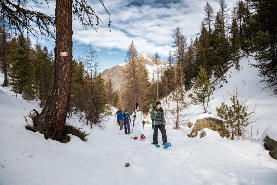 Vialattea: Snowshoeing in the Snowy Forest - Activity Overview