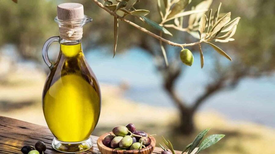 Wine, Olive Oil and Scenic Villages of Provence - Wine Experience at the Vineyard