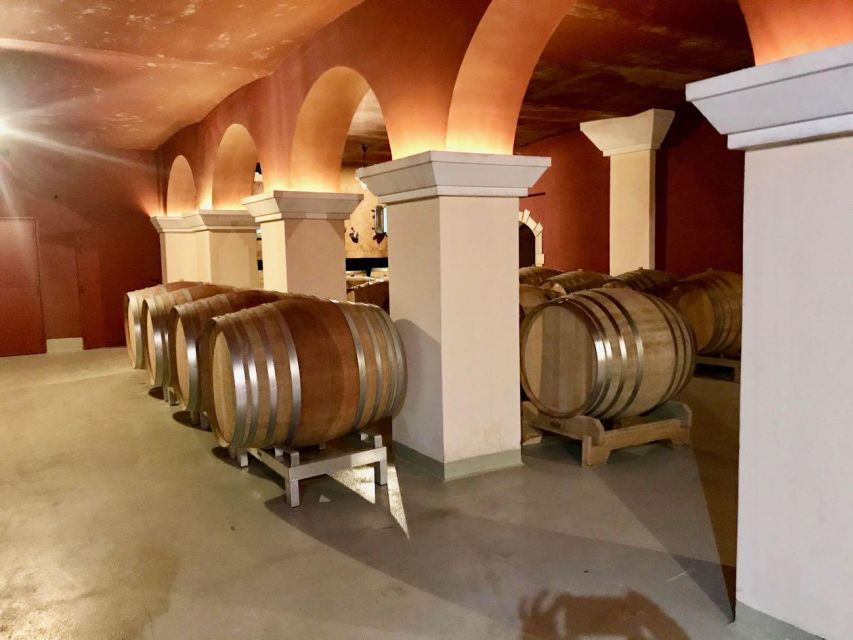 Wine Tasting, Cannes, Famous Designers and Perfume Factory - Discovering the Glamour of Cannes