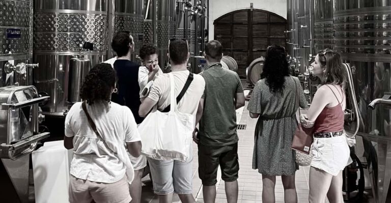 Wine Tasting Saint-Florent & Patrimonio