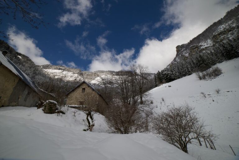 Winter Wonderland Expedition, Snowshoe Journey Into the Wild