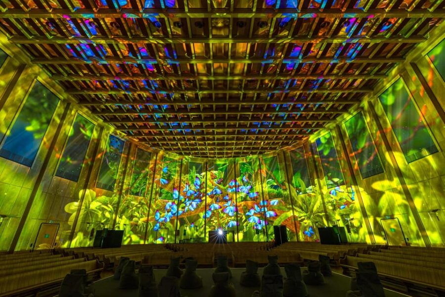 Zurich: Pixel Zoo Jungle - an Immersive Journey Through the Rainforests - Event Overview