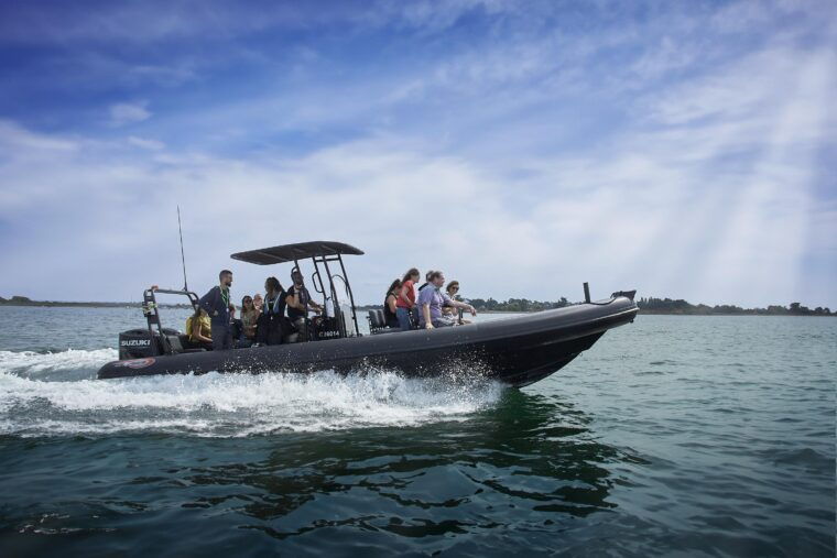 Arzon Activity Review: Top Experiences Explored - Comparing the Cruises: What to Expect