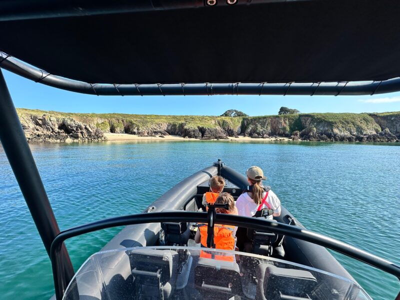 Arzon Activity Review: Top Experiences Explored - Full-Day Cruise With Stopover on Houat: an Adventure Awaits