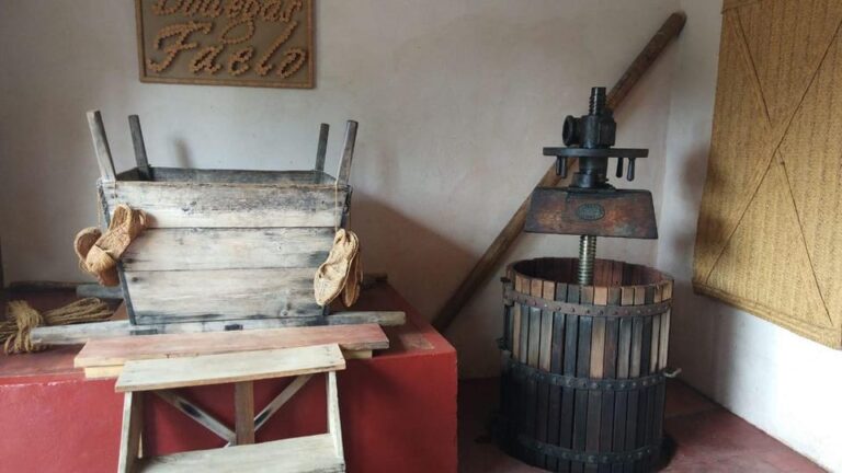 From Alicante: Best Winery Tour and Wine Tasting
