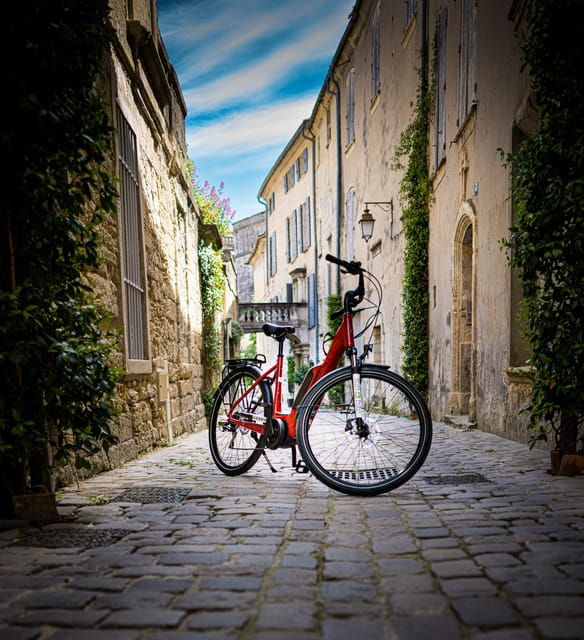 Picnic in the Middle of a Vineyard by E-Bike - E-Bike Adventure in Provence