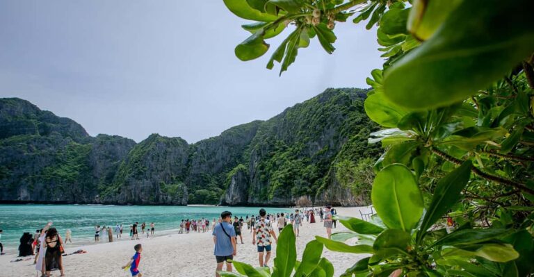Phi Phi Island: Maya Bay Sunset & Plankton by Speedboat