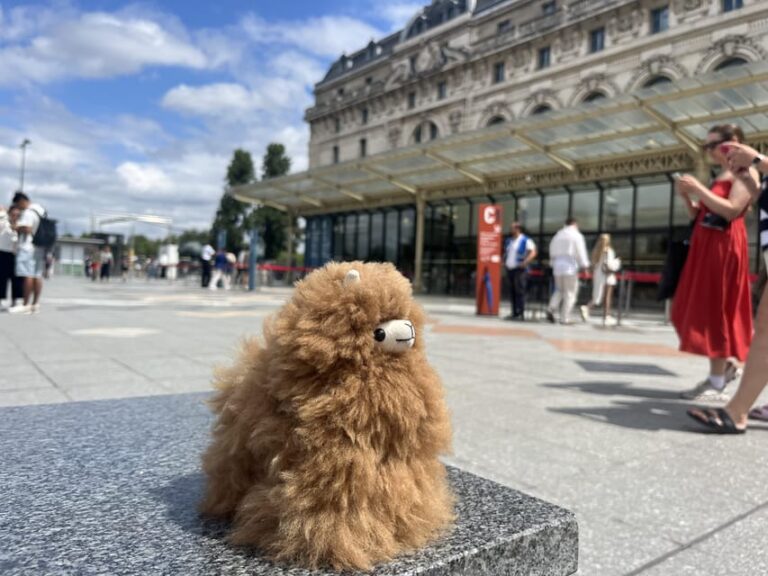 Orsay Museum: Museum Ticket Entry & 2h Private Guided Tour