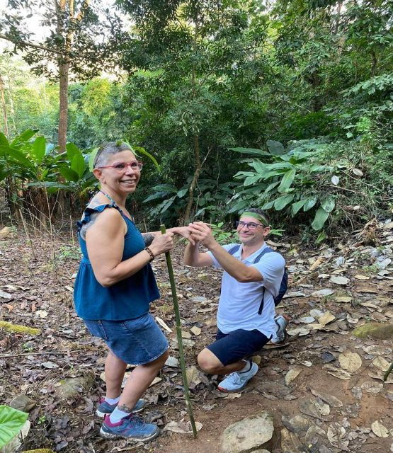 1 Day Trekking in Chiang Rai Forest (Walk Only) - Overview