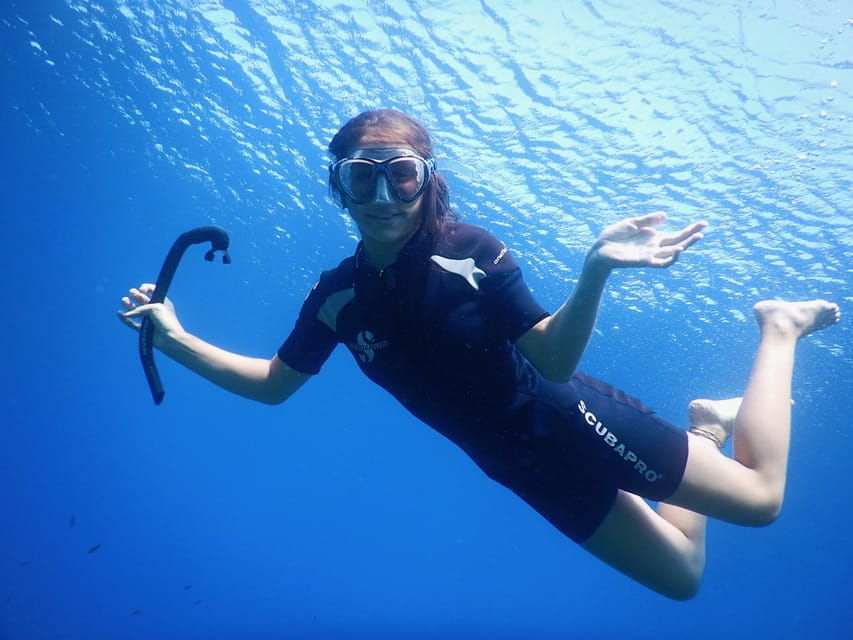 Calvi: Try Dive In The Calvi Bay - Pricing and Reservation Details