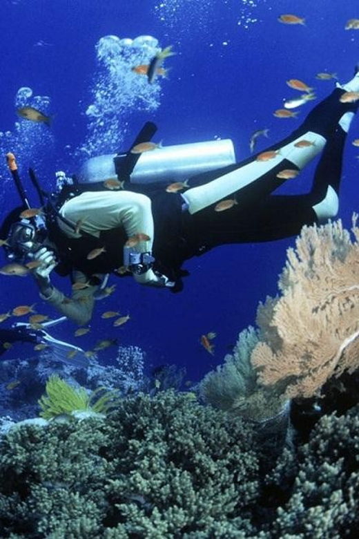 Cham Islands Snorkeling Tour by Speedboat : Hoi An/Da Nang