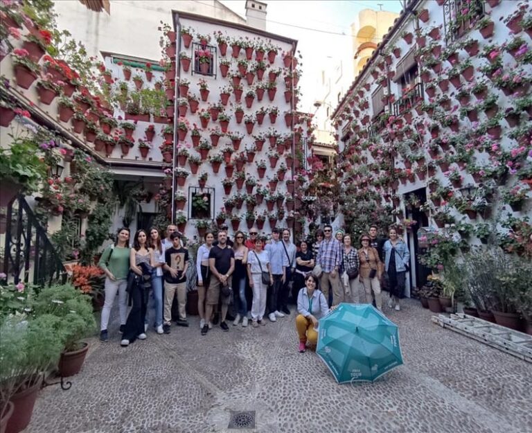Cordoba: Courtyards Festival Guided Tour