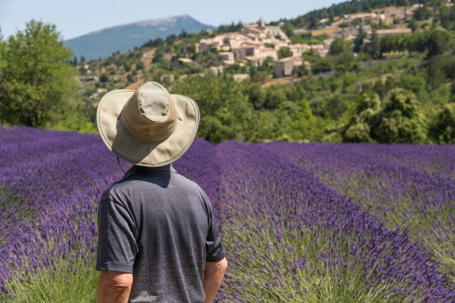 From Aix-en-Provence: Sault Lavender & Gordes Full-Day Tour - Tour Overview