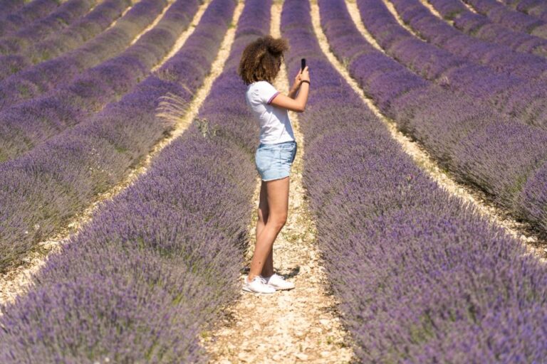 From Avignon: Half Day Lavender Tour to Sault