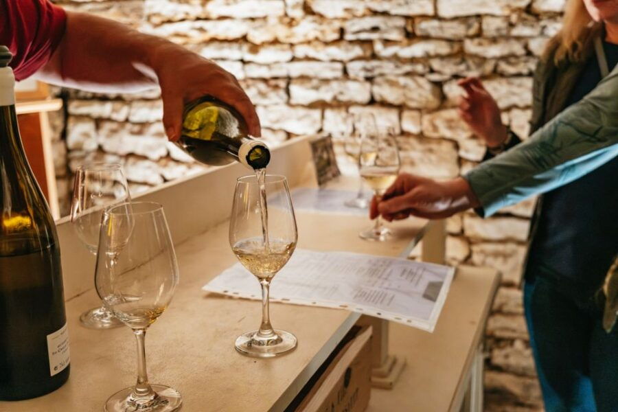 From Beaune: Burgundy Day Trip With 14 Wine Tastings - Overview of the Guided Wine Tour