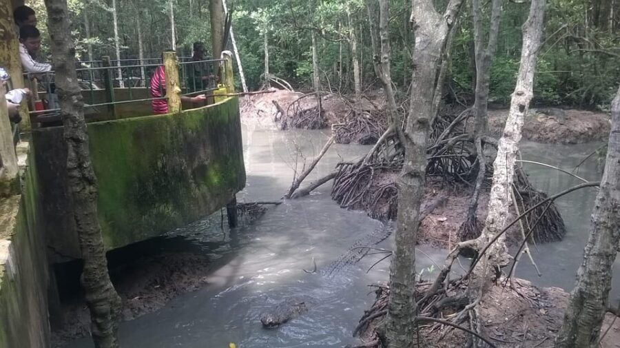 From Ho Chi Minh: Trek Can Gio Mangrove, Monkey Island - Tour Overview and Pricing