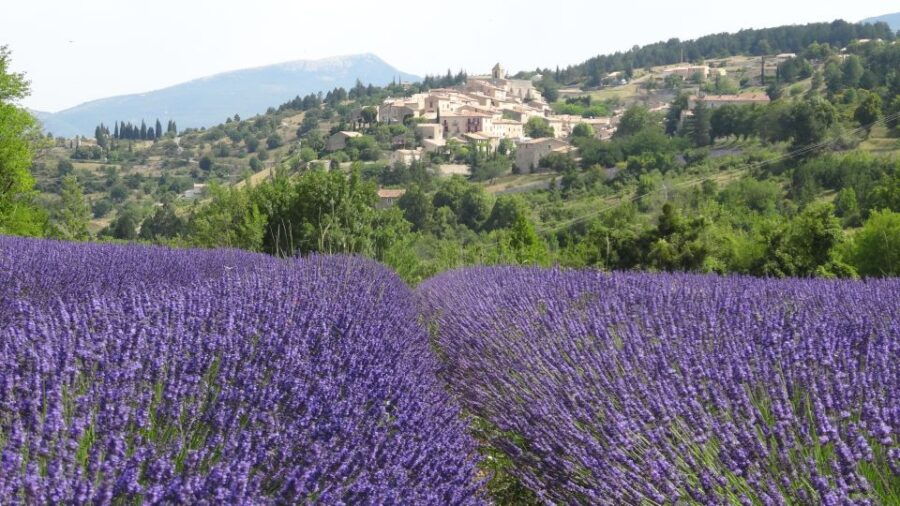 From Marseille: Lavender Full-Day Trip to Sault - Overview of the Lavender Full-Day Trip