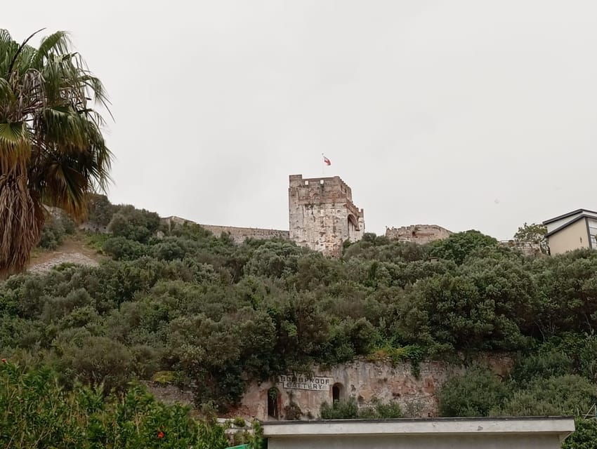 From Seville: Gibraltar Day Trip - Trip Overview