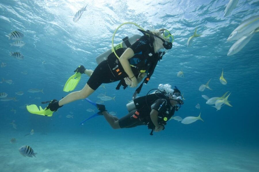 Gran Canaria: Scuba Diving for Beginners - Activity Overview