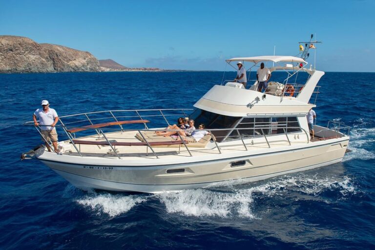 Los Cristianos: Whale Watching Tour With Swimming and Lunch on Yacht for 22 Passengers