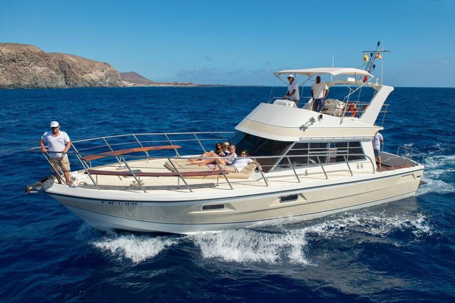 Los Cristianos: Whale Watching Tour With Swimming and Lunch on Yacht for 22 Passengers - Tour Overview and Pricing