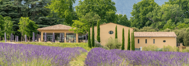 Luberon: Vine to Glass at Château De Sannes