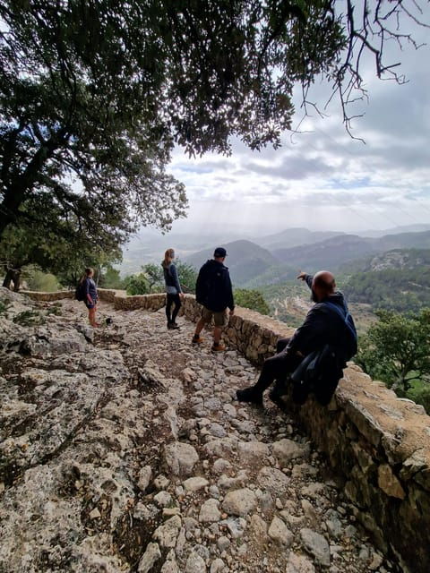Mallorca Hiking Tour Castell D'alaró - Itinerary and Experience