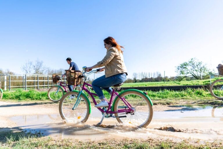 Marais Poitevin: Discovery Day in the Footsteps of the Monk-Builders