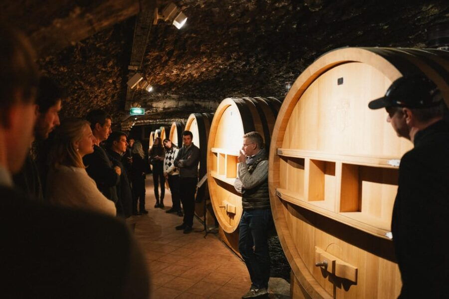 Montpellier: Full Day Truffles and Chateauneuf-Du-Pape Wines - Experience the Magic of Truffles
