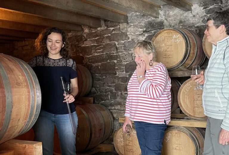 Montpellier: Wine Tour Pic St Loup