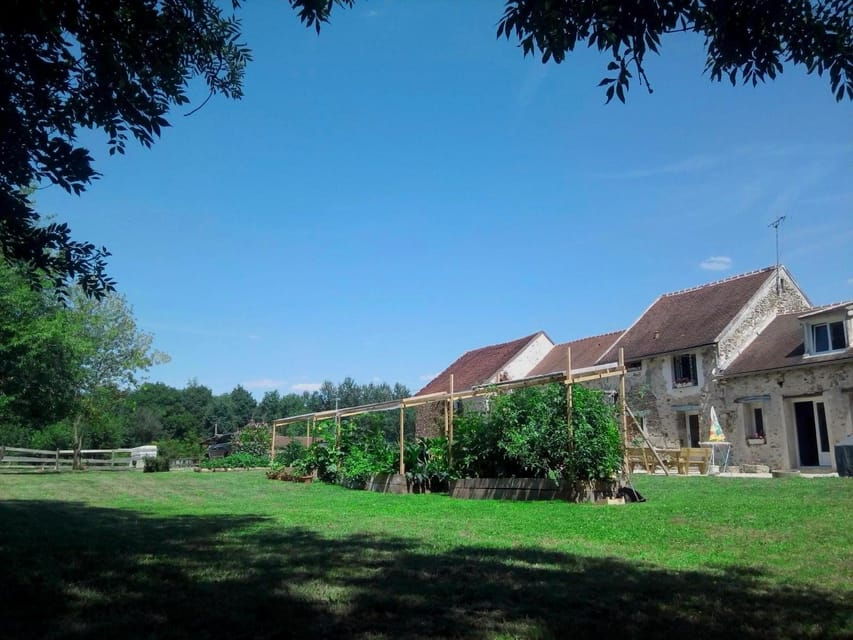 Paris Day Trip: Dine With Locals in a Country Stone House! - Savoring a Traditional French Meal