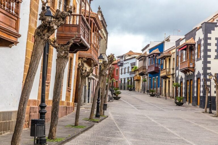 Peaks of Gran Canaria by Minibus: Firgas, Teror, Aloe Vera Tour